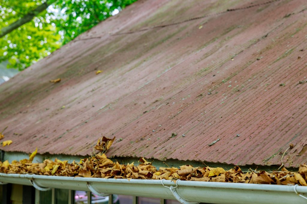 Yellow leaves are covered with iron gutter cover on a roof with leaves